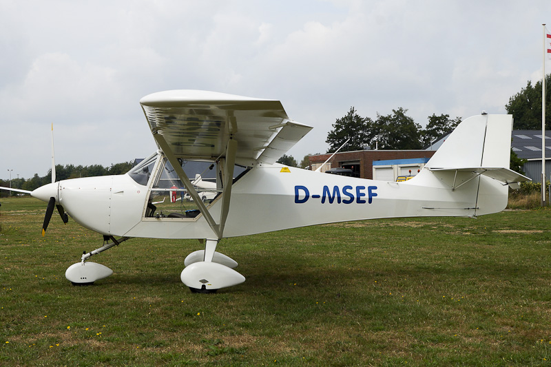 D-MSEF